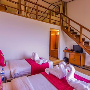 Duplex Suite